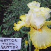 <b>Better than Butter</b> Better-than-Butter